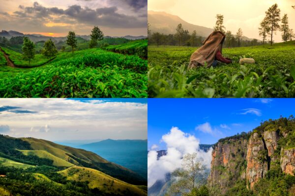 114254655 8 Best Hill Stations In South India You Can Explore This November