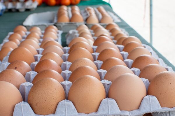 dt 241004 eggs brown 800x450 Eggs: A Weighty Matter for Postmenopausal Women?