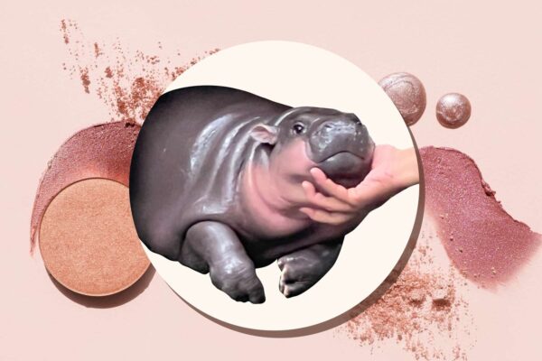 moo deng makeup GettyImages 1418265792 8bc5131464ae41ff85440e4117ee8cd4 A Viral Hippo Started This Season's Biggest Beauty Trend